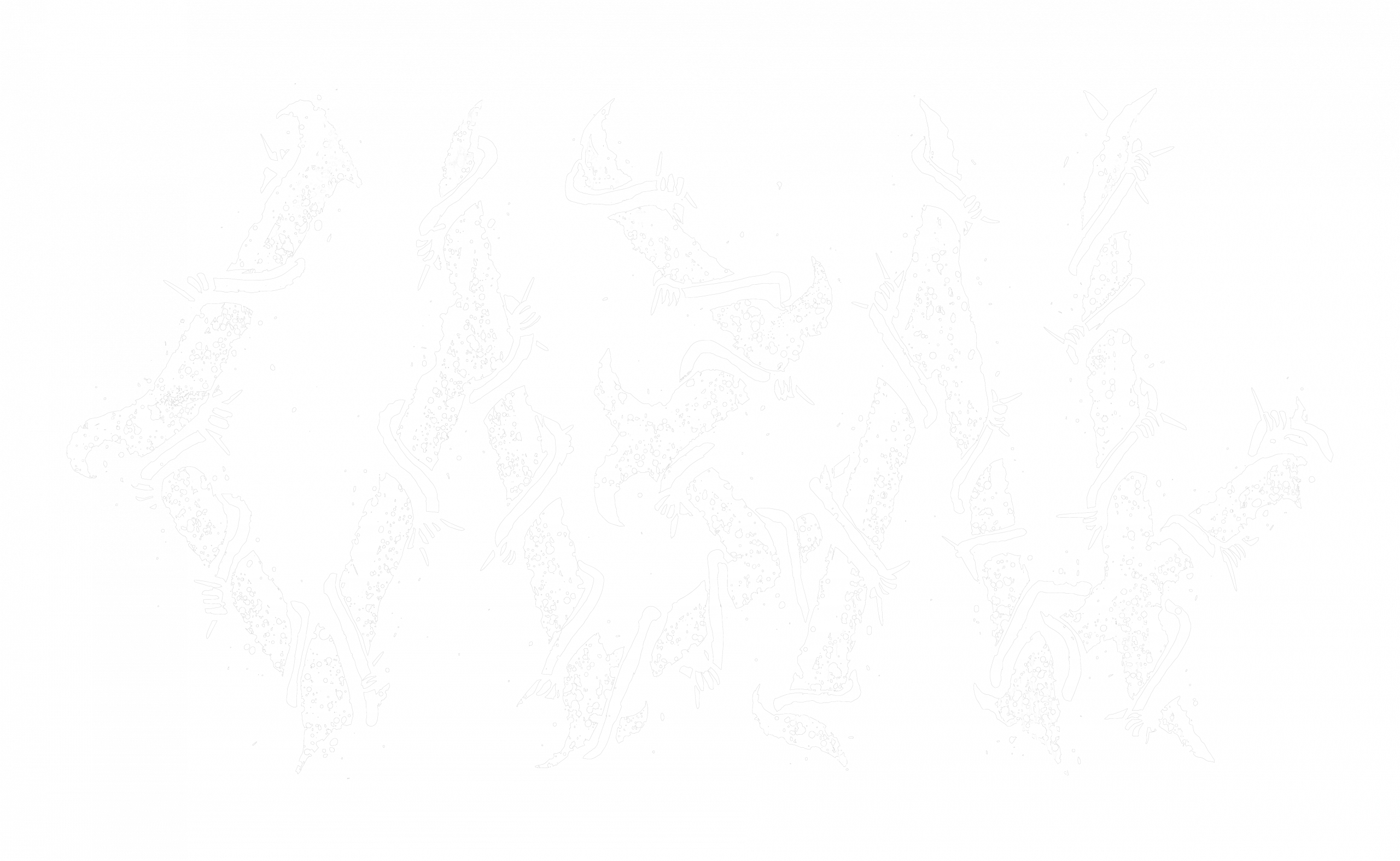 Festivalstalker Logo